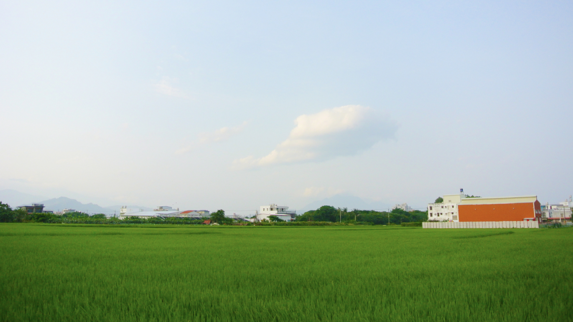 土特產(chǎn)全案策劃.jpg