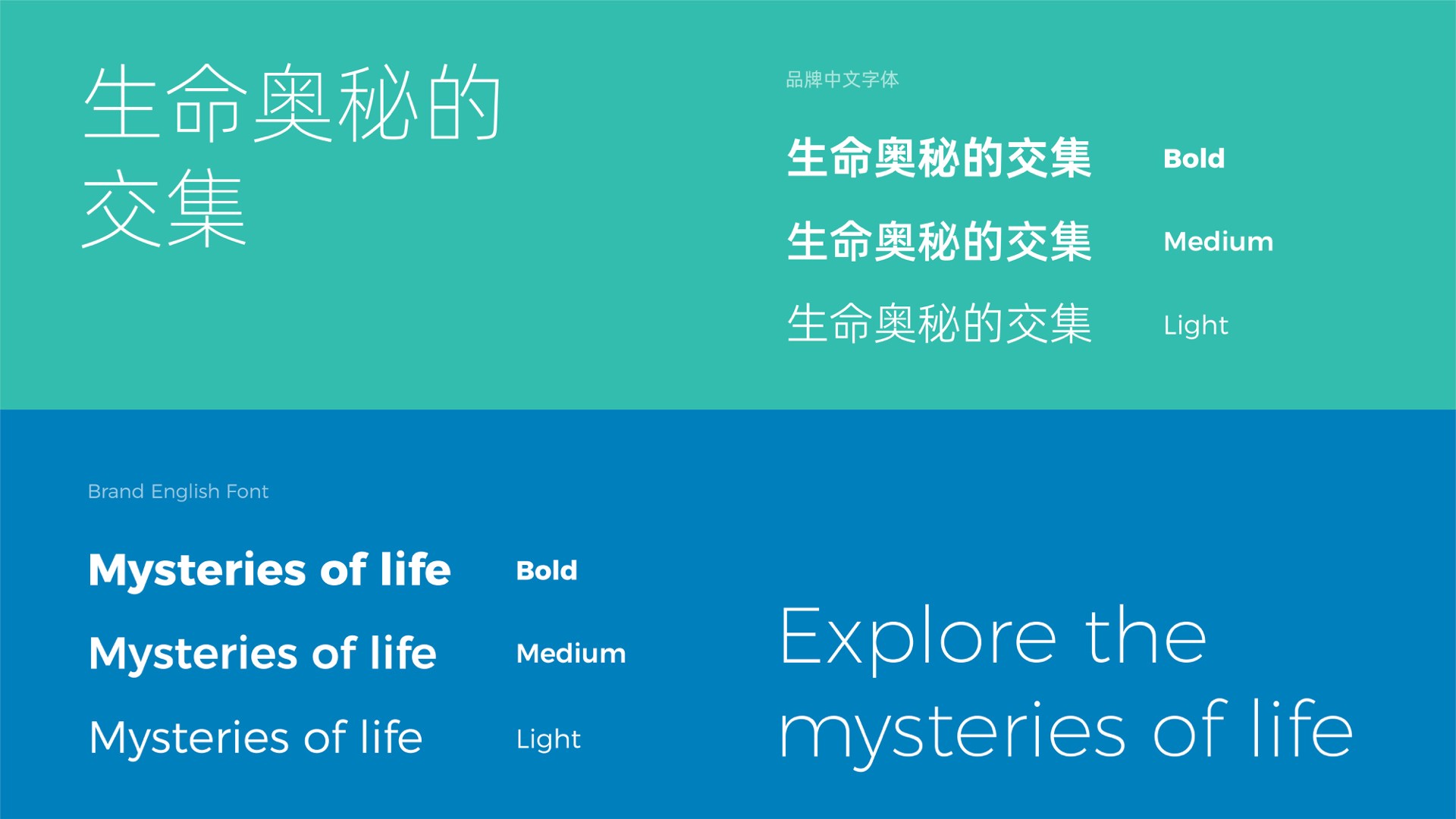 醫(yī)療字體.jpeg